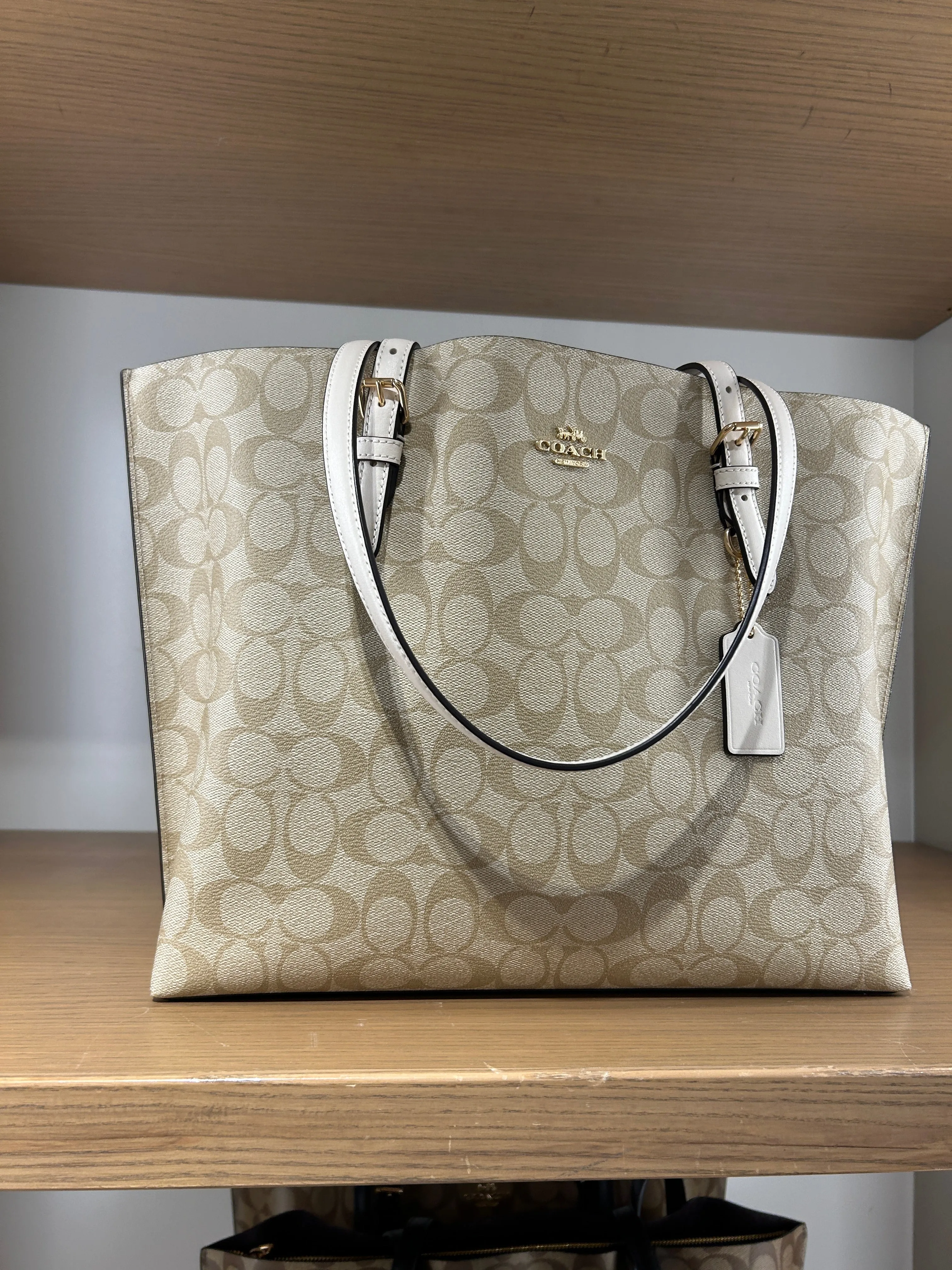 Coach Mollie Tote In Signature Light Khaki Chalk