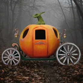 PUMPKIN COACH PHOTO OP